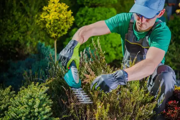 landscaping services College Corner